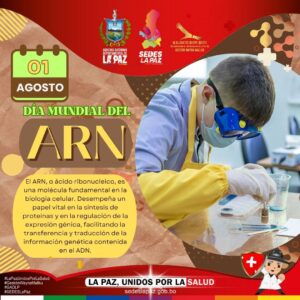 1 DE AGOSTO, DÍA MUNDIAL DEL ARN