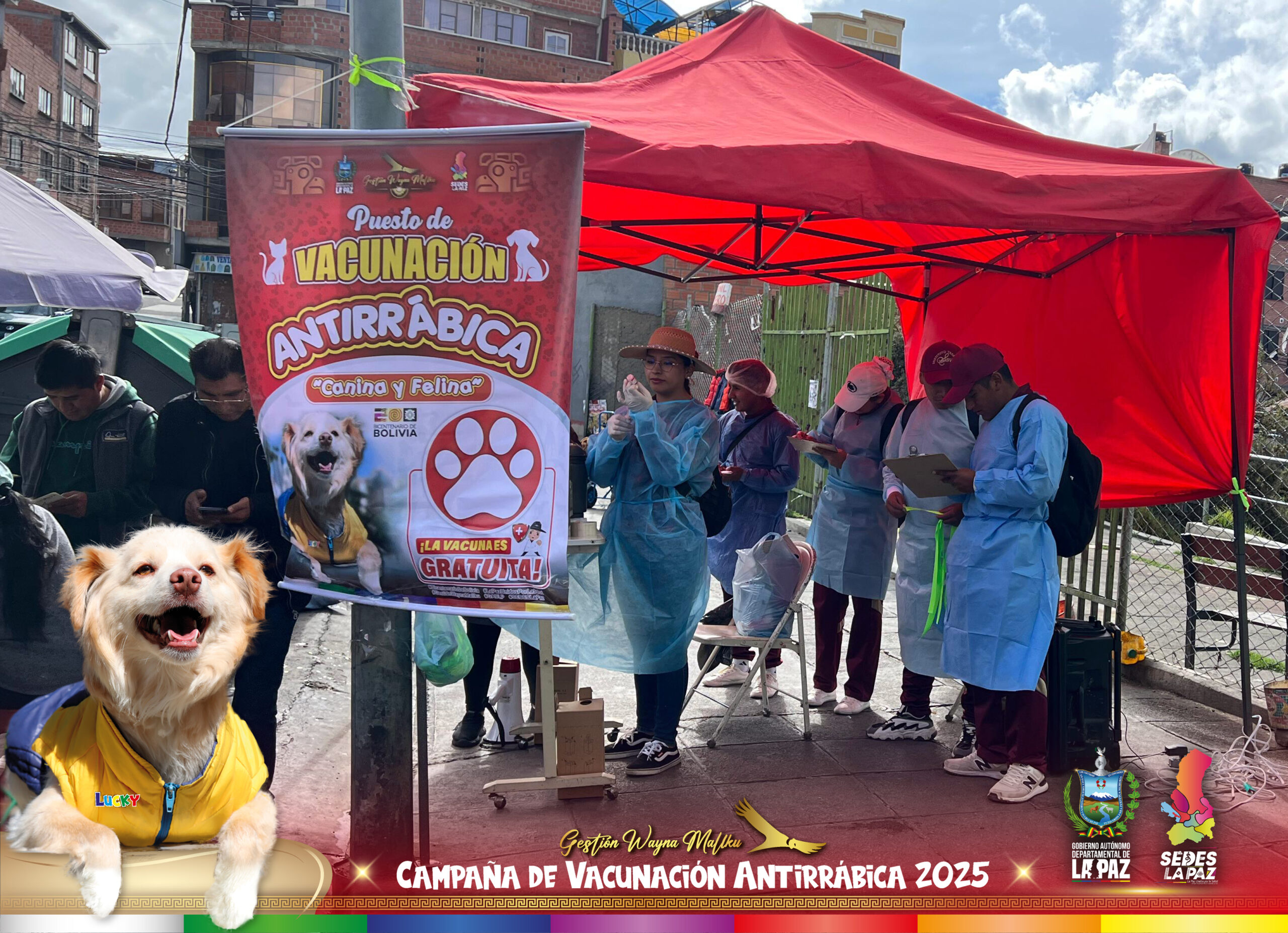 SEDES LA PAZ SUPERA LAS METAS TRAZADAS EN LA VACUNACIÓN ANTIRRÁBICA 2025