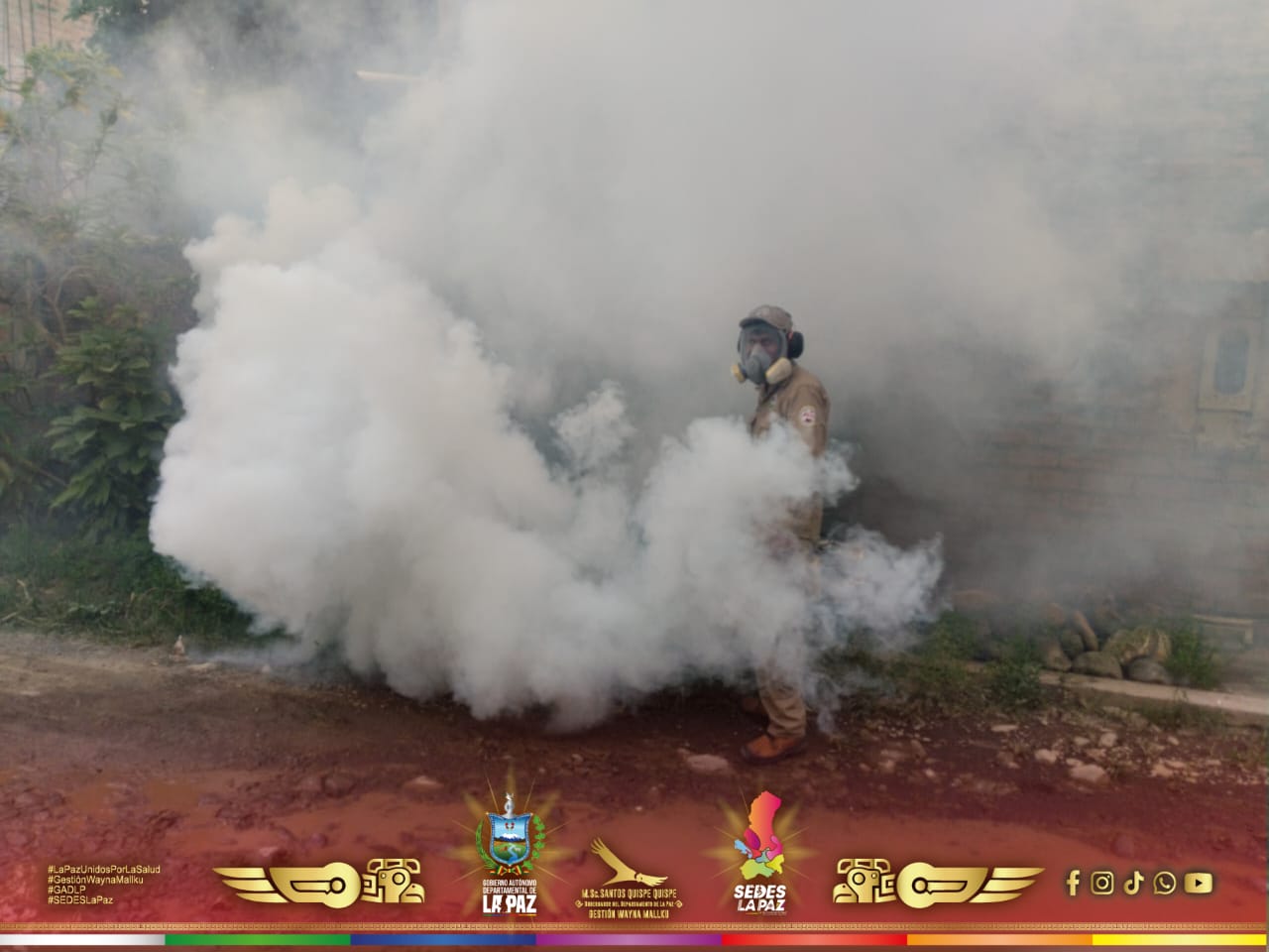 SEDES LA PAZ REPORTA UN CASO DE CHIKUNGUNYA EN EL MUNICIPIO DE CARANAVI